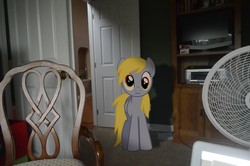 Size: 2464x1632 | Tagged: safe, derpy hooves, pony, g4, irl, photo, ponies in real life, vector