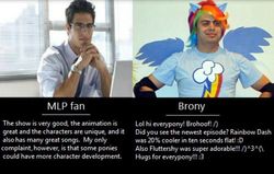 Size: 720x457 | Tagged: safe, fluttershy, rainbow dash, g4, brony, comparison trolling, text