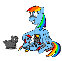 Size: 677x668 | Tagged: safe, artist:fluffsplosion, rainbow dash, fluffy pony, hybrid, g4, fluffy pony foals
