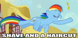 Size: 1015x491 | Tagged: safe, rainbow dash, g4, alternate hairstyle, image macro, visual pun