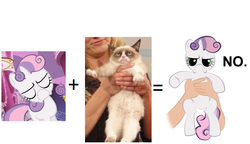 Size: 1062x612 | Tagged: safe, sweetie belle, g4, faic, grumpy, grumpy belle, grumpy cat, no, tard the grumpy cat
