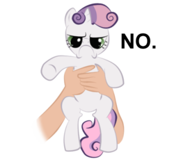 Size: 500x471 | Tagged: artist needed, source needed, safe, sweetie belle, human, pony, unicorn, g4, angry, frown, glare, grumpy, grumpy belle, grumpy cat, hand, holding a pony, looking at you, no, put me down, simple background, sweetie belle is not amused, transparent background