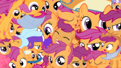 Size: 1920x1080 | Tagged: safe, scootaloo, g4, helmet, wig