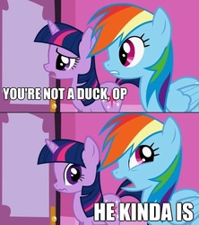 Size: 625x704 | Tagged: safe, rainbow dash, twilight sparkle, g4, image macro, op, op is a duck, scrunchy face