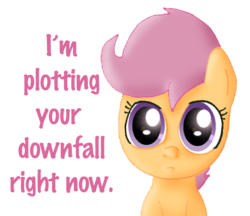 Size: 625x540 | Tagged: safe, artist:ajmstudios, scootaloo, pony, g4, cute, female, fluffy, frown, looking at you, simple background, solo, stare, text, transparent background