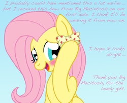 Size: 800x650 | Tagged: safe, artist:shyflier, fluttershy, g4, bow, female, male, ship:fluttermac, shipping, straight, tumblr