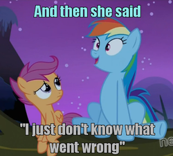 Size: 377x340 | Tagged: safe, edit, edited screencap, screencap, derpy hooves, rainbow dash, scootaloo, pegasus, pony, g4, sleepless in ponyville, adventure in the comments, derpygate, female, hub logo, i just don't know what went wrong, image macro, mare