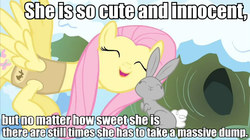 Size: 600x337 | Tagged: safe, edit, edited screencap, screencap, fluttershy, pegasus, pony, rabbit, g4, season 1, winter wrap up, animal, caption, eyes closed, female, implied pooping, mare, nuzzling, poop joke, snow, text, truth, winter wrap up song