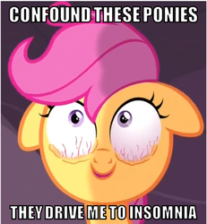 Size: 500x540 | Tagged: safe, scootaloo, g4, sleepless in ponyville, bloodshot eyes, confound these ponies, floppy ears, image macro, insomnia, reaction image, truth
