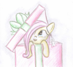 Size: 4860x4458 | Tagged: safe, artist:neotopazz, fluttershy, g4, absurd resolution, filly, present