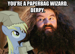 Size: 498x359 | Tagged: safe, derpy hooves, pegasus, pony, g4, all caps, duo, female, harry potter (series), image macro, impact font, mare, meme, paper bag, paper bag wizard, photo, rubeus hagrid