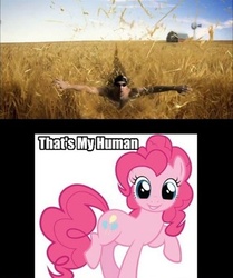 Size: 500x599 | Tagged: safe, pinkie pie, g4, too many pinkie pies, michael phelps, that's my x