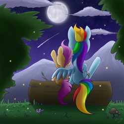 Size: 3000x3000 | Tagged: safe, artist:steffy-beff, princess luna, rainbow dash, scootaloo, firefly (insect), pegasus, pony, g4, duo, duo female, female, log, mare in the moon, moon, scootalove, shooting star, sitting, stars, tree