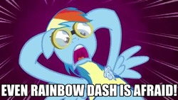 Size: 640x360 | Tagged: safe, rainbow dash, g4, wonderbolts academy, even speedwagon is afraid, image macro, jojo's bizarre adventure, parody, wonderbolt trainee uniform