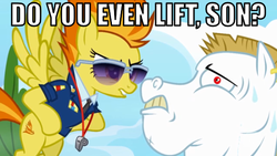 Size: 587x330 | Tagged: safe, edit, edited screencap, screencap, bulk biceps, spitfire, pegasus, pony, g4, wonderbolts academy, clothes, do you even lift, female, image macro, necktie, spitfire's tie, suit, uniform, wonderbolts dress uniform