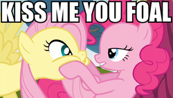 Size: 818x466 | Tagged: safe, edit, edited screencap, screencap, fluttershy, pinkie pie, earth pony, pegasus, pony, g4, too many pinkie pies, bedroom eyes, face grab, female, image macro, kiss me, lesbian, mare, ship:flutterpie, shipping, squishy cheeks