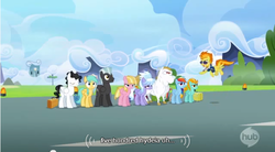 Size: 641x355 | Tagged: safe, screencap, bulk biceps, cloudchaser, meadow flower, mercury, rainbow dash, spitfire, starry eyes (g4), sunshower raindrops, thunderlane, pegasus, pony, g4, wonderbolts academy, female, male, mare, stallion, youtube caption