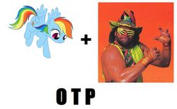 Size: 817x508 | Tagged: safe, rainbow dash, pony, g4, exploitable meme, meme, otp, randy savage, shipping, simple background, vector, white background, wwf