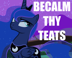 Size: 900x720 | Tagged: safe, princess luna, g4, calm your tits, caption, female, image macro, reaction image