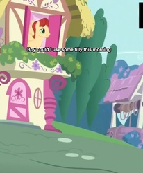 Size: 764x926 | Tagged: safe, g4, sleepless in ponyville, caption, image macro