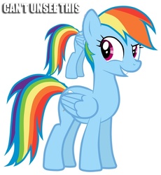 Size: 857x932 | Tagged: safe, rainbow dash, pegasus, pony, g4, cannot unsee, caption, female, literal pony tail, mare, ponytail, solo