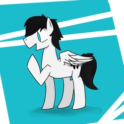 Size: 800x800 | Tagged: safe, artist:crackernut, oc, oc only, oc:archimedes ogle, pegasus, pony, male, solo, stallion