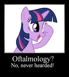 Size: 580x647 | Tagged: safe, twilight sparkle, g4, demotivational poster, meme