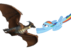 Size: 698x491 | Tagged: safe, rainbow dash, kaiju, g4, crossover, godzilla (series), rodan