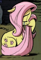 Size: 218x319 | Tagged: safe, idw, official comic, fluttershy, pony, g4, official, the return of queen chrysalis, spoiler:comic, crying, lowres, sad, wingless