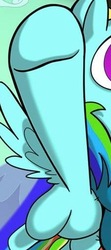 Size: 225x507 | Tagged: safe, artist:sibsy, idw, rainbow dash, pony, g4, cropped, female, not a penis, out of context, solo, that's a penis, unfortunate design