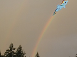 Size: 908x681 | Tagged: safe, artist:s-missile, rainbow dash, pony, g4, flying, irl, photo, ponies in real life, rainbow, vector