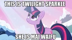 Size: 600x334 | Tagged: safe, edit, edited screencap, screencap, twilight sparkle, pony, g4, winter wrap up, female, image macro, solo