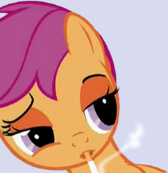 Size: 500x516 | Tagged: safe, scootaloo, g4, 4chan, cigarette, reaction image, smokerloo, smoking