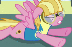 Size: 544x360 | Tagged: safe, screencap, meadow flower, pegasus, pony, g4, wonderbolts academy, animated, derp, female, male