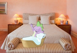 Size: 1200x817 | Tagged: safe, artist:ppyfmlp, spike, g4, bed, hotel room, irl, photo, ponies in real life, vector