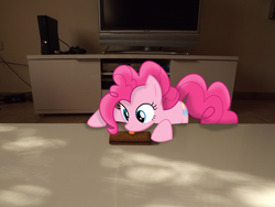 Size: 4288x3216 | Tagged: safe, artist:missbeigepony, pinkie pie, earth pony, pony, g4, controller, irl, licking, photo, ponies in real life, solo, television, vector, xbox