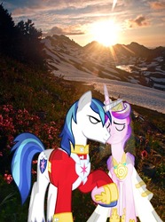 Size: 600x805 | Tagged: safe, artist:ppyfmlp, princess cadance, shining armor, pony, g4, irl, mountain, photo, ponies in real life, vector