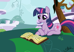 Size: 842x593 | Tagged: safe, artist:sandra626, twilight sparkle, pony, g4, book, female, grass, reading, shadow, sky, solo