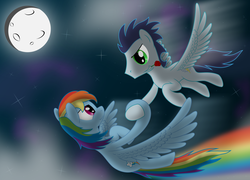 Size: 6000x4316 | Tagged: safe, artist:thunderelemental, rainbow dash, soarin', g4, absurd resolution, female, flower, male, night, ship:soarindash, shipping, straight