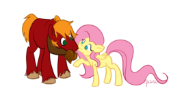 Size: 1560x885 | Tagged: safe, artist:littlegenius13, big macintosh, fluttershy, earth pony, pony, g4, caramel apple (food), male, ship:fluttermac, shipping, stallion