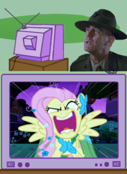 Size: 563x771 | Tagged: safe, fluttershy, human, pony, g4, exploitable meme, flutterrage, full metal jacket, gunnery sergeant hartman, irl, meme, photo, role reversal, tv meme, war face