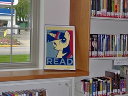 Size: 2048x1536 | Tagged: safe, twilight sparkle, g4, book, hope poster, library, photo, poster, propaganda, read, shepard fairey