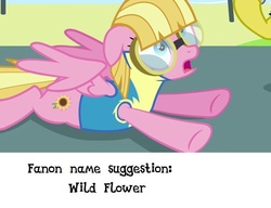 Size: 640x491 | Tagged: safe, meadow flower, g4, wonderbolts academy, meta