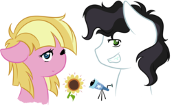 Size: 900x557 | Tagged: safe, artist:miss-vani, meadow flower, mercury, starry eyes (g4), pegasus, pony, g4, cutie mark, female, male, mare, simple background, stallion, transparent background