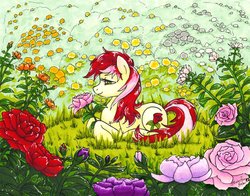 Size: 1008x792 | Tagged: safe, artist:fallenzephyr, roseluck, pony, g4, female, flower, garden, solo, traditional art