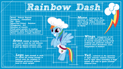 Size: 1920x1080 | Tagged: safe, artist:ikonradx, rainbow dash, g4, blueprint, wallpaper