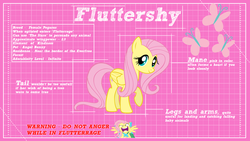 Size: 1920x1080 | Tagged: safe, artist:ikonradx, fluttershy, g4, blueprint, wallpaper