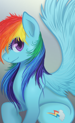 Size: 7414x12163 | Tagged: safe, artist:rainbowplasma, rainbow dash, pony, g4, absurd resolution, female, solo