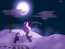 Size: 1024x768 | Tagged: safe, artist:purplepassion3, rarity, pony, g4, clothes, night, scarf, snow, solo