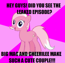 Size: 500x484 | Tagged: safe, big macintosh, cheerilee, earth pony, pony, slowpoke (pokémon), g4, advice meme, exploitable meme, image macro, male, meme, pokémon, ponified, ship:cheerimac, shipping, slow, slowpoke, slowpony, stallion, straight